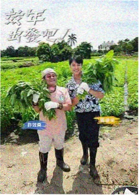 爸爸去哪儿